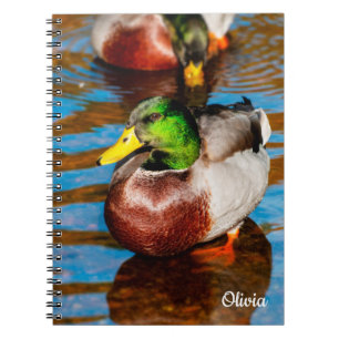 Cute Little Mallard Duck Spiraal notebook Notitieboek