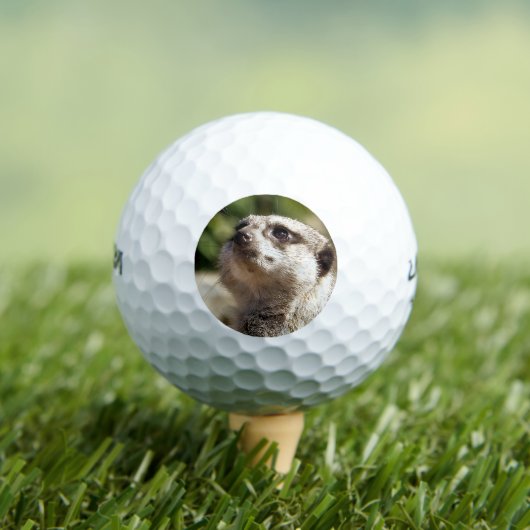CUTE LITTLE MEERKAT GOLFBALLEN (Insitu Shirt)