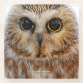 Cute Little Northern Saw Whet Owl Glazen Onderzetter (Voorkant)