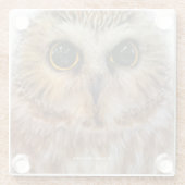 Cute Little Northern Saw Whet Owl Glazen Onderzetter (Achterkant)