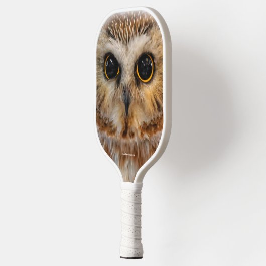 Cute Little Northern Saw Whet Owl Pickleball Paddle (Links)