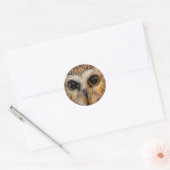 Cute Little Northern Saw Whet Owl Ronde Sticker (Envelop)
