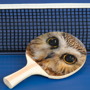 Cute Little Northern Saw Whet Owl Tafeltennisbatje
