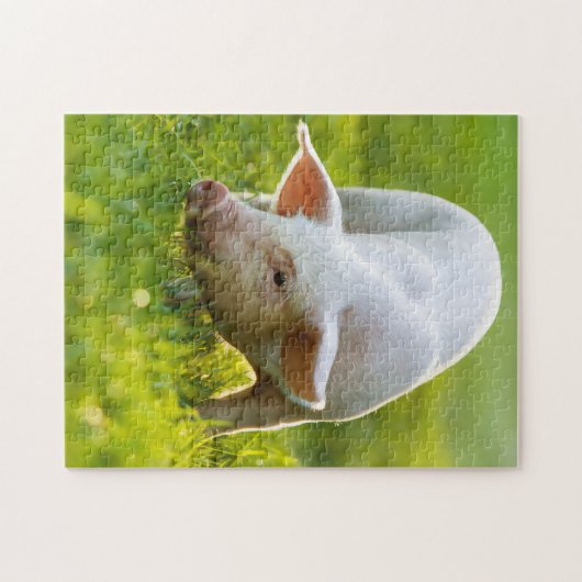 Cute little Pig Legpuzzel (Horizontaal)