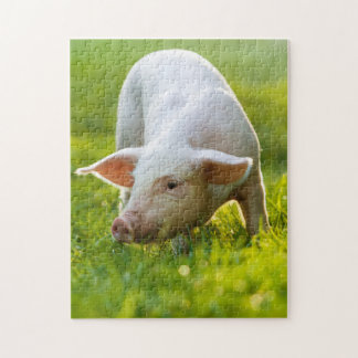 Cute little Pig Legpuzzel