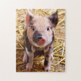 Cute Little Piglet Legpuzzel