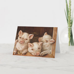 Cute little piglets in a barn at the farm kaart