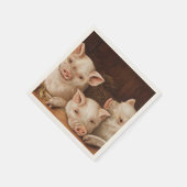 Cute little piglets in a barn at the farm servet (Hoek)