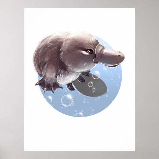 Cute Little Platypus Illustrated Print Poster (Voorkant)