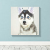 Cute Little Pomsky Puppy Canvas Afdruk (Insitu (Houten vloer))
