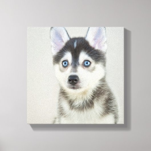 Cute Little Pomsky Puppy Canvas Afdruk (Voorkant)