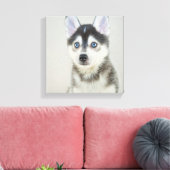 Cute Little Pomsky Puppy Canvas Afdruk (Insitu (Woonkamer))