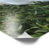 Cute Little Rabbit in the Grass Photo Print Foto Afdruk (Hoek)