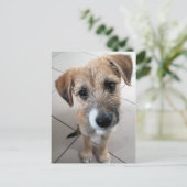 Cute Little Sad Dog Briefkaart (Staand voorkant)
