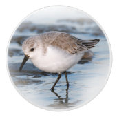 Cute Little Sanderling at the Beach Keramische Knop (Voorkant)