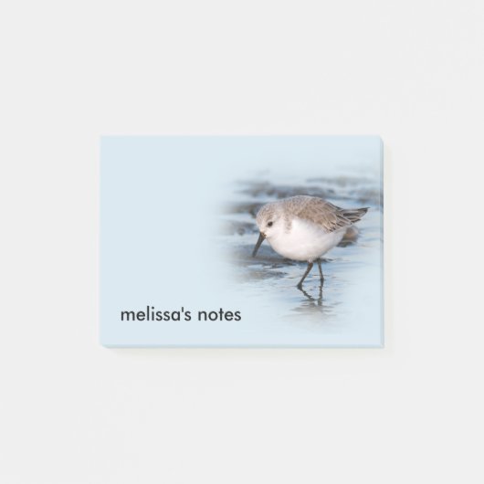 Cute Little Sanderling at the Beach Post-it® Notes (Voorkant)