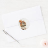 Cute Little Squirrel Eating Nuts Ronde Sticker (Envelop)
