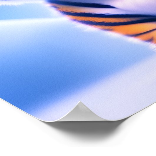 Cute Little Tiger Cub Poster (Hoek)