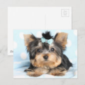 Cute Little Tiny Yorkie Pup-ontwerp Briefkaart (Voorkant / Achterkant)
