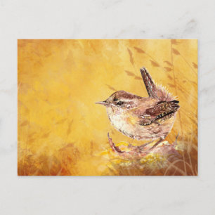 Cute Little Waterverf House Wren Bird Natuur art. Briefkaart