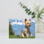 Cute Little Yorkie Terrier Briefkaart (Staand voorkant)