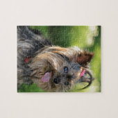 Cute Little Yorkshire Terrier Dog Legpuzzel (Horizontaal)