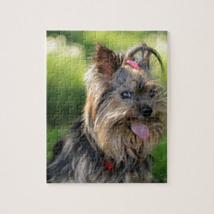 Cute Little Yorkshire Terrier Dog Legpuzzel