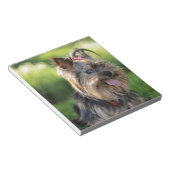 Cute Little Yorkshire Terrier Dog Notitieblok (Schuin)