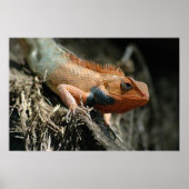 Cute Lizard Poster (Voorkant)