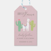 Cute Llama Baby shower Succulent girl roze