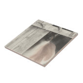 Cute Llama Black and White Animal Tegeltje (Zijkant)