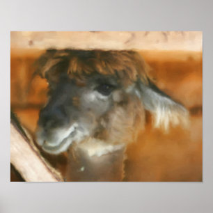 Cute Llama Face Boerderij Animal Art Poster