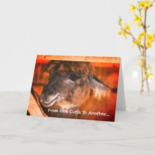 Cute Llama Humoureuze dierdag Kaart (Gele Bloem)