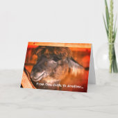 Cute Llama Humoureuze dierdag Kaart (Voorkant)