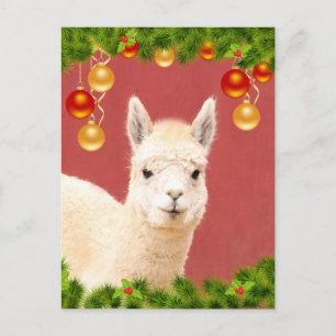 Cute Llama-kerstfeestdag Briefkaart