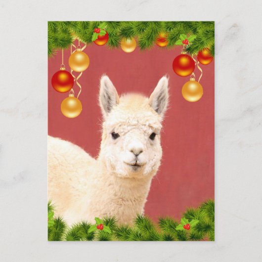 Cute Llama-kerstfeestdag Briefkaart (Voorkant)
