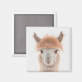Cute Llama Magnet (Alpaca) | Verzamelbaar (Voorkant / Achterkant)