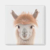 Cute Llama Magnet (Alpaca) | Verzamelbaar