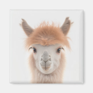 Cute Llama Magnet (Alpaca) | Verzamelbaar
