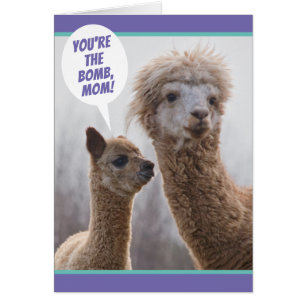 Cute Llama net als jij Moederdag Kaart