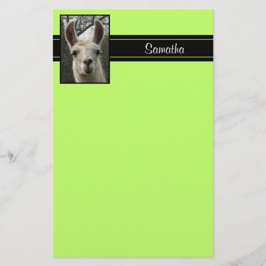 Cute Llama Persoonlijke schrijfbenodigdheden Briefpapier (Voorkant)
