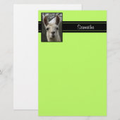 Cute Llama Persoonlijke schrijfbenodigdheden Briefpapier (Voorkant / Achterkant)