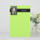 Cute Llama Persoonlijke schrijfbenodigdheden Briefpapier (Staand voorkant)