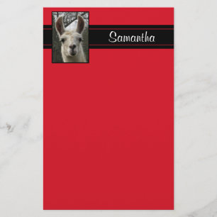 Cute Llama Persoonlijke schrijfbenodigdheden Briefpapier