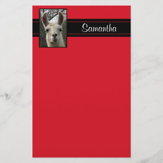 Cute Llama Persoonlijke schrijfbenodigdheden Briefpapier (Voorkant)