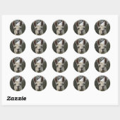 Cute Llama Stickers (Vel)