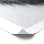 Cute Long-Haered Tabby Kitten, Big Eyes Poster (Hoek)