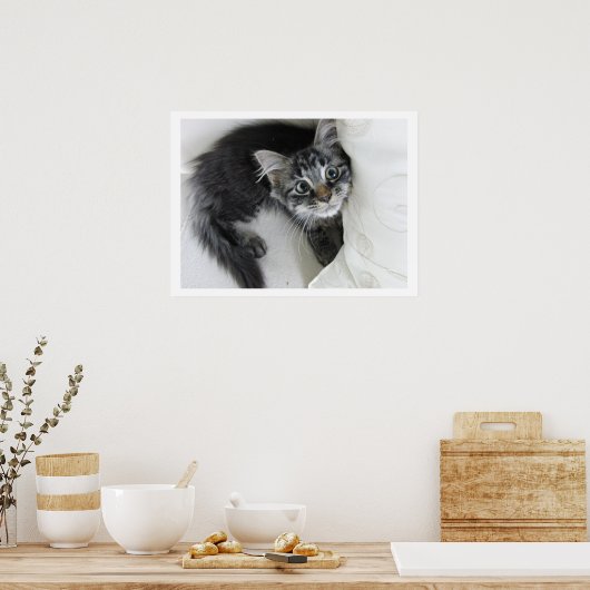 Cute Long-Haered Tabby Kitten, Big Eyes Poster (Keuken)