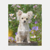 Cute long-haire Chihuahua Dog Puppy Photo - Fleece Deken (Voorkant)