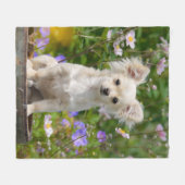 Cute long-haire Chihuahua Dog Puppy Photo - Fleece Deken (Voorkant (Horizontaal))